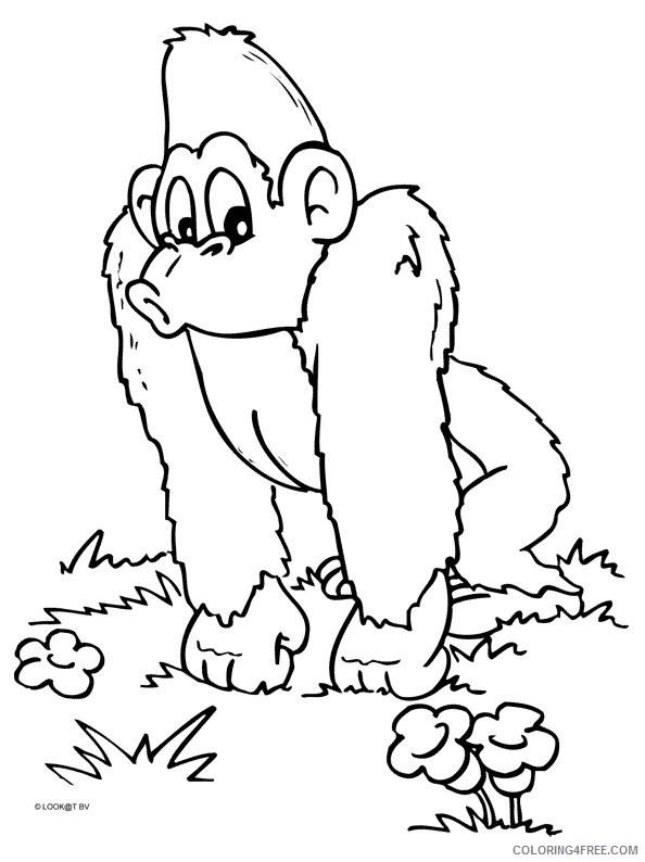 Monkey Coloring Pages monkey animal 0 Printable Coloring4free