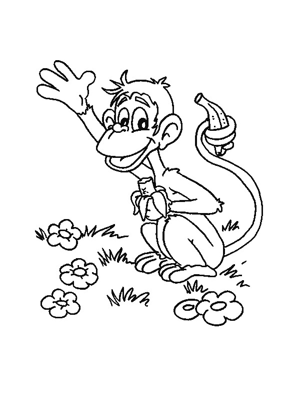 Monkey Coloring Pages monkey animal 24 Printable Coloring4free