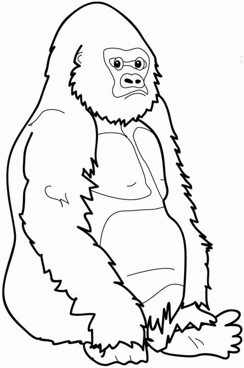 Monkey Coloring Pages monkey animal 32 Printable Coloring4free