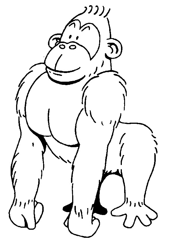 Monkey Coloring Pages monkey animal 4 Printable Coloring4free