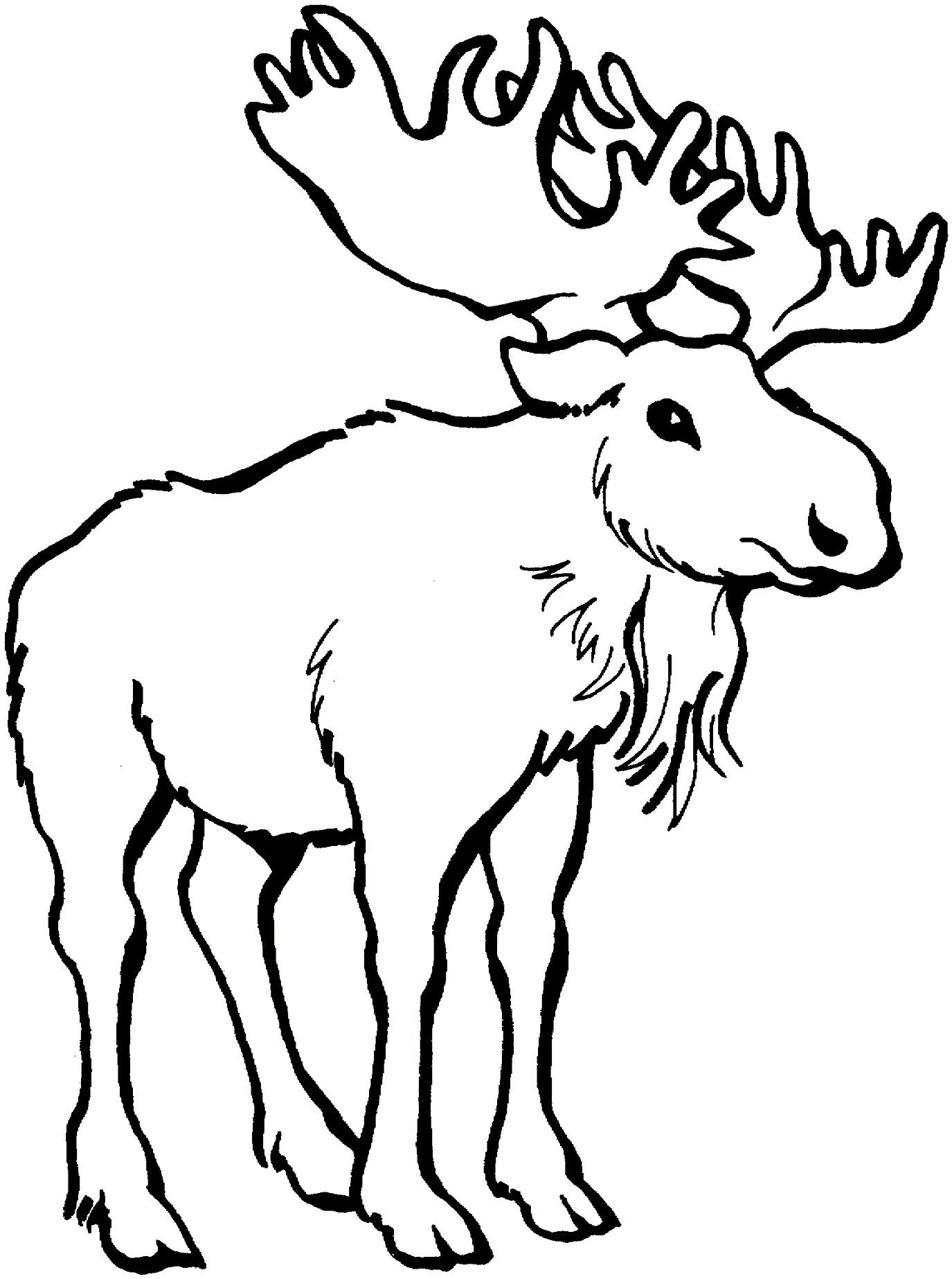Moose Coloring Pages moose Printable Coloring4free