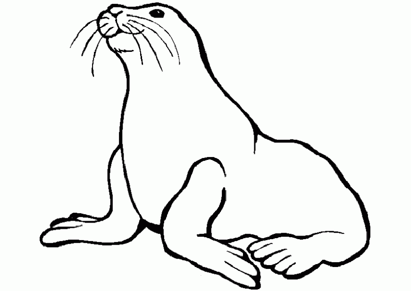 More Black and White Animals Coloring Pages dibujos para colorear de animales Printable Coloring4free