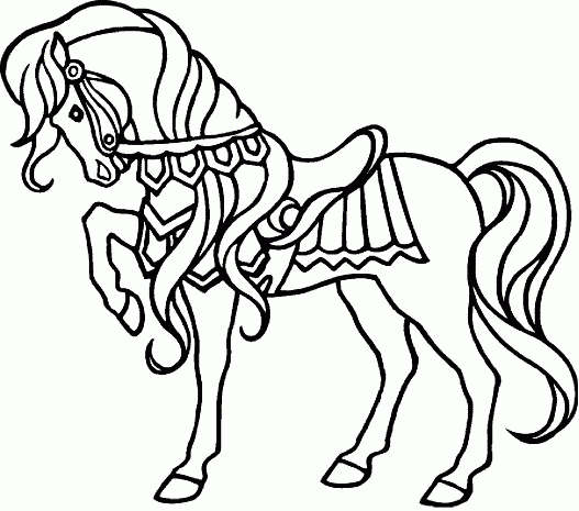 More Black and White Animals Coloring Pages otros dibujos colorear animales dom Printable Coloring4free