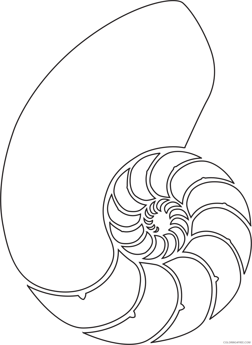 Nautilus Shell Coloring Pages nautilus shell Printable Coloring4free