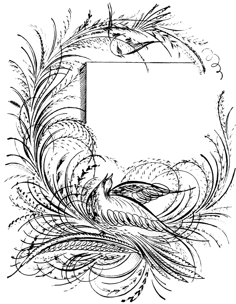 Nice Bird Coloring Pages bird etc P72vyM clipart Printable Coloring4free