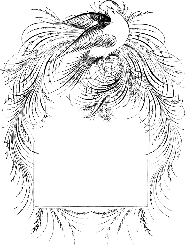 Nice Bird Coloring Pages bird etc uq1JAY clipart Printable Coloring4free
