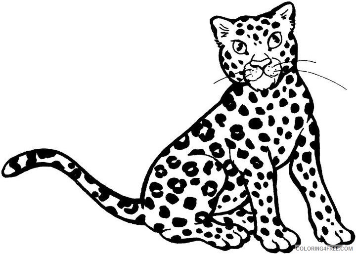 Ocelot Coloring Pages ocelot 14 jpg Printable Coloring4free