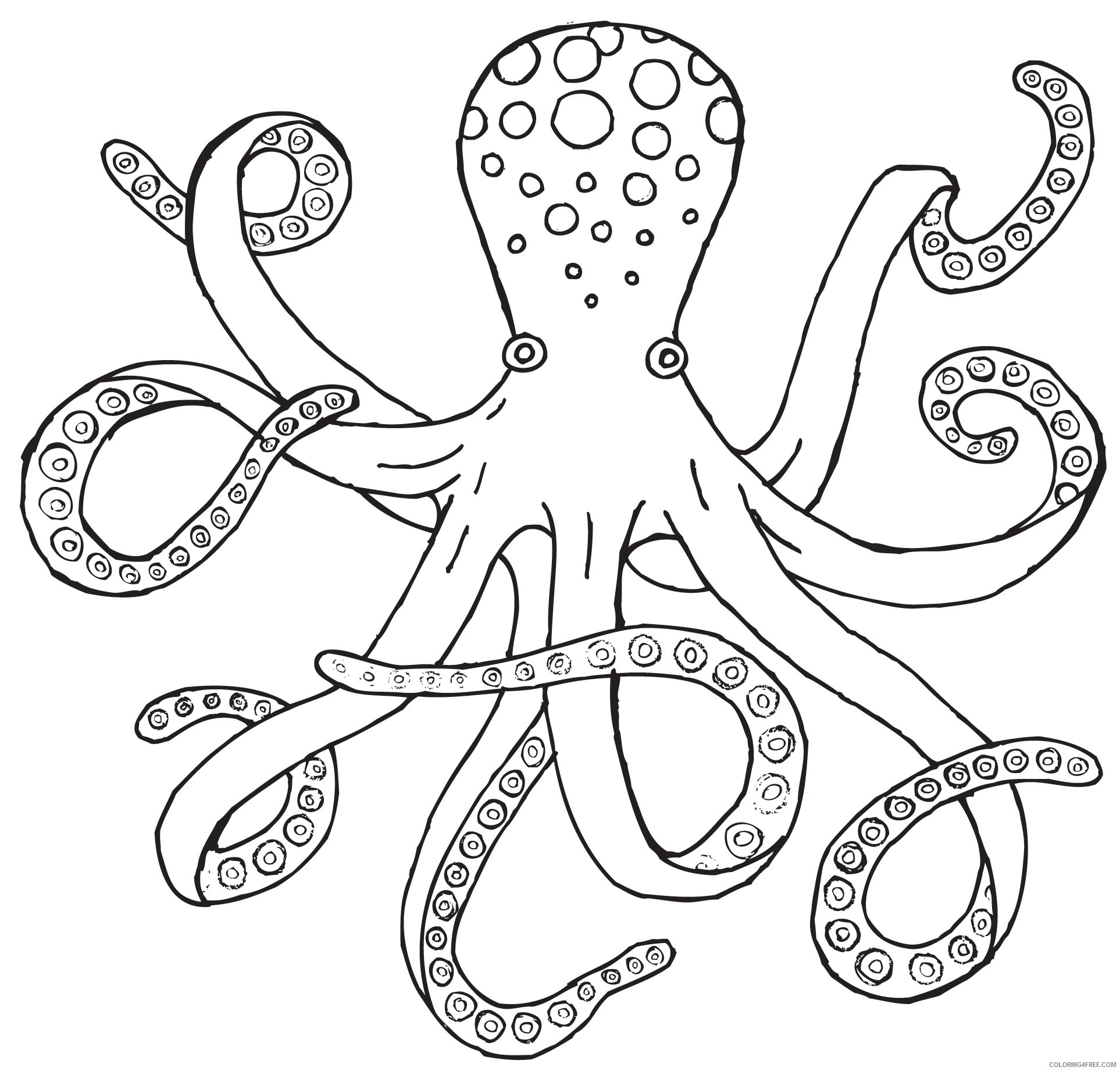 Octopus Outline Coloring Pages octopuses live only 1 3 Printable Coloring4free