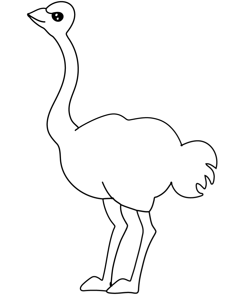 Ostrich Coloring Pages ostrich 5 gif Printable Coloring4free