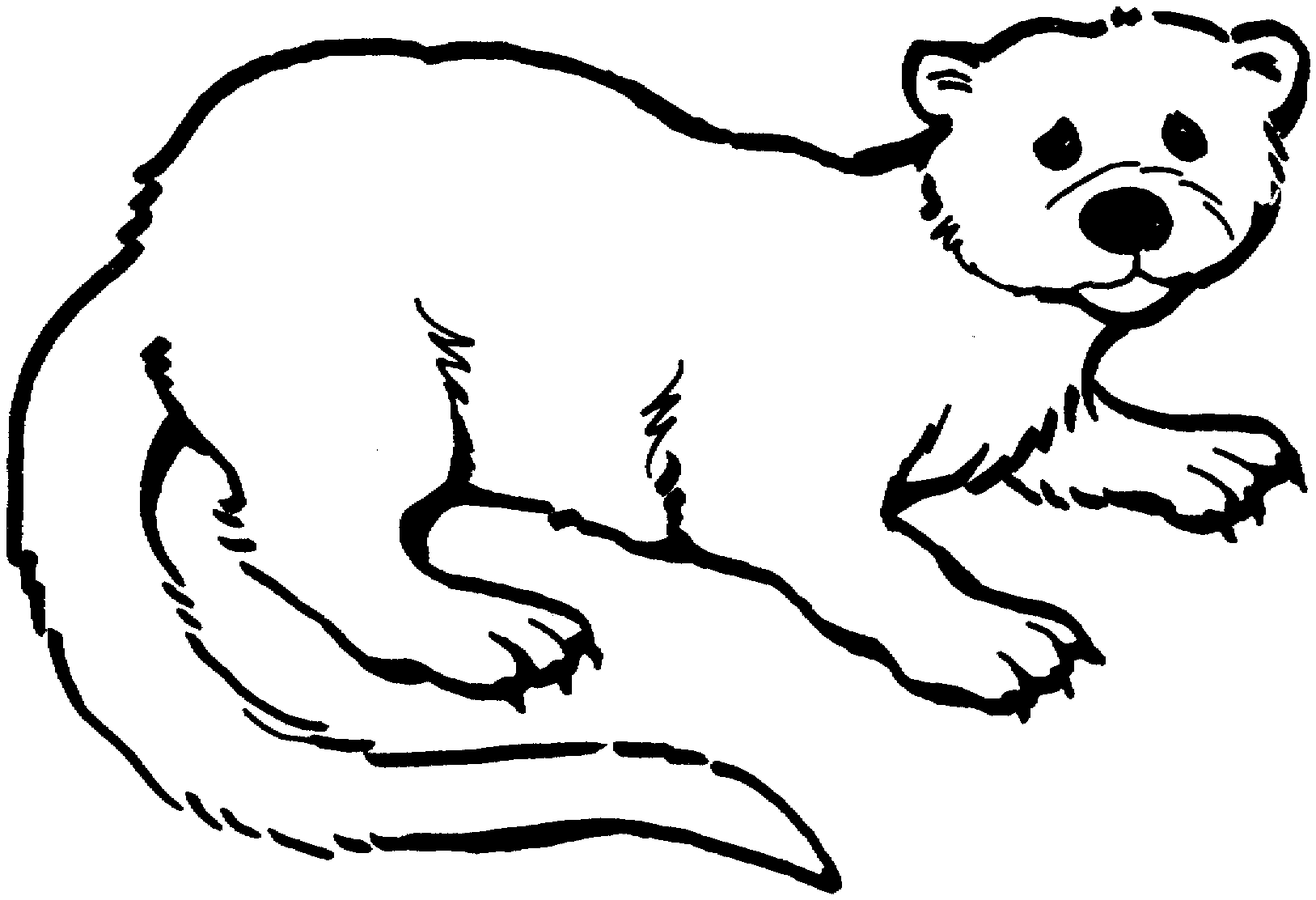 Otter Coloring Pages otter 123 gif Printable Coloring4free