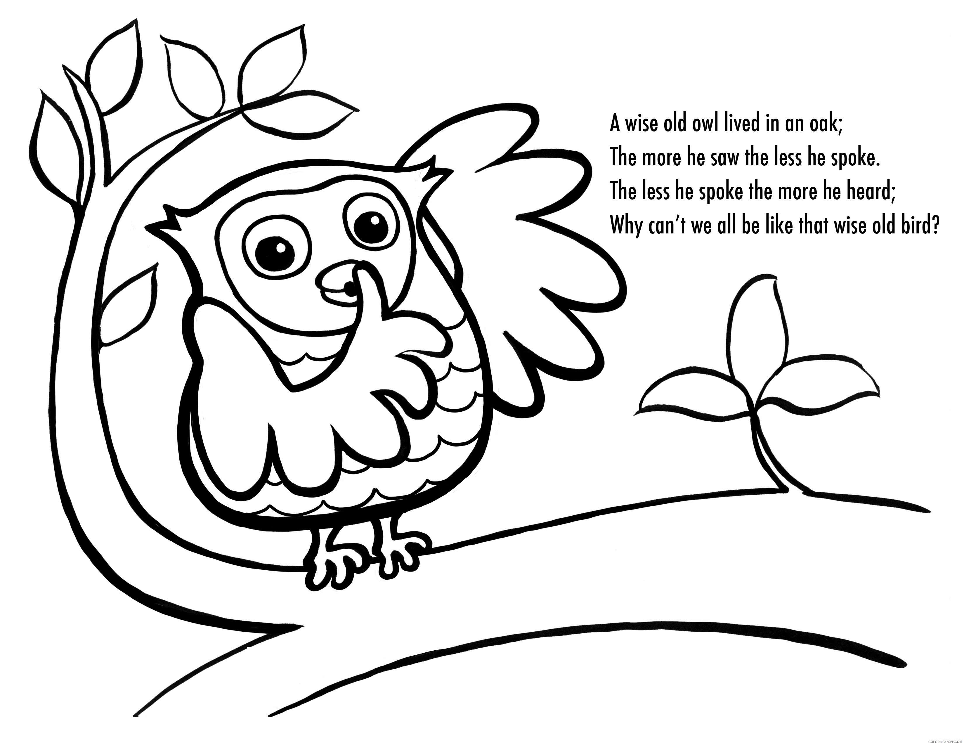 Owl Coloring Pages Coloring Pages free printable owl pages Printable Coloring4free