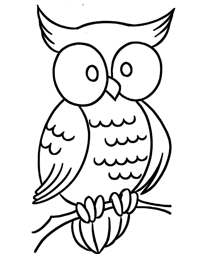 Owl Coloring Pages Coloring Pages owl owl coloring Printable Coloring4free