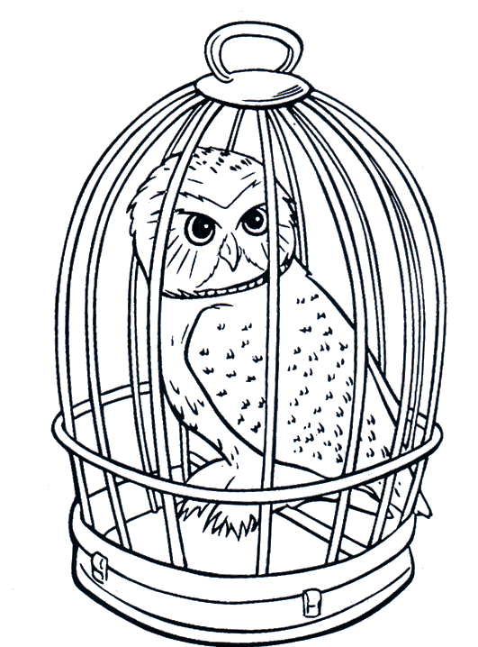 Owl Coloring Pages owl animal 1 Printable Coloring4free