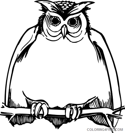 Owl Outline Coloring Pages owl black and Printable Coloring4free