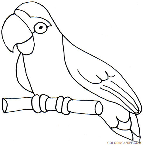 Parrot Outline Coloring Pages parrot BhcOX3 jpg Printable Coloring4free