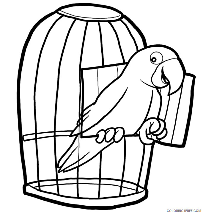 Parrot Outline Coloring Pages parrot in a cage colouring Printable Coloring4free