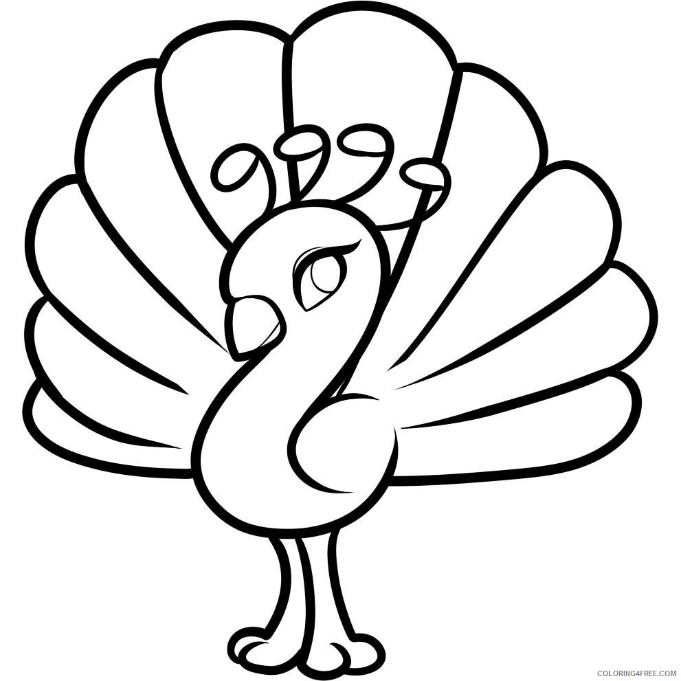 Peacock Outline Coloring Pages baby peacock peacock Printable Coloring4free
