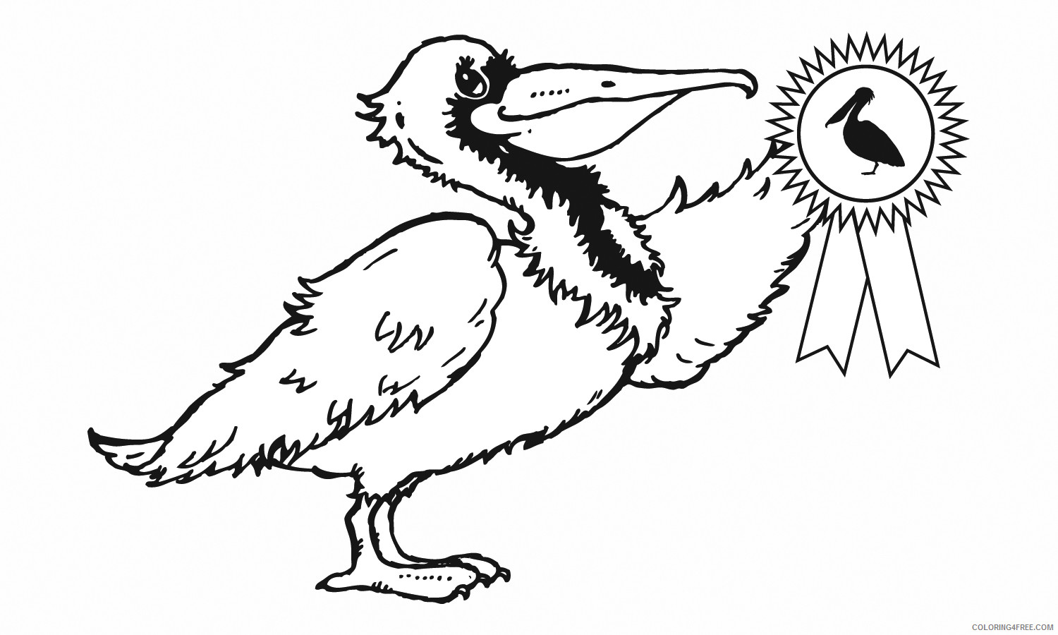Pelican Coloring Pages 5th grade Printable Coloring4free
