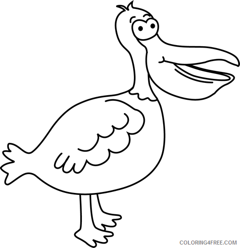 Pelican Coloring Pages pelican D9siWr Printable Coloring4free