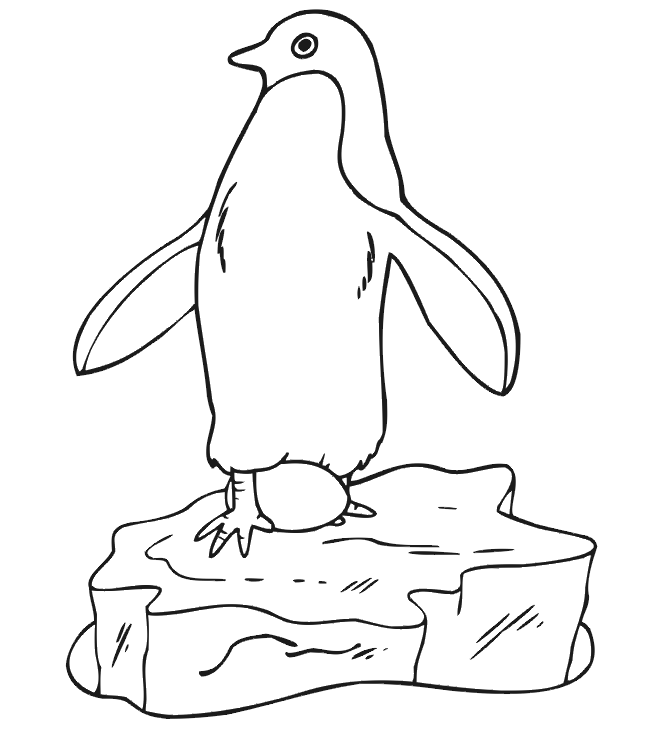Penguin Coloring Pages penguin 15 gif Printable Coloring4free
