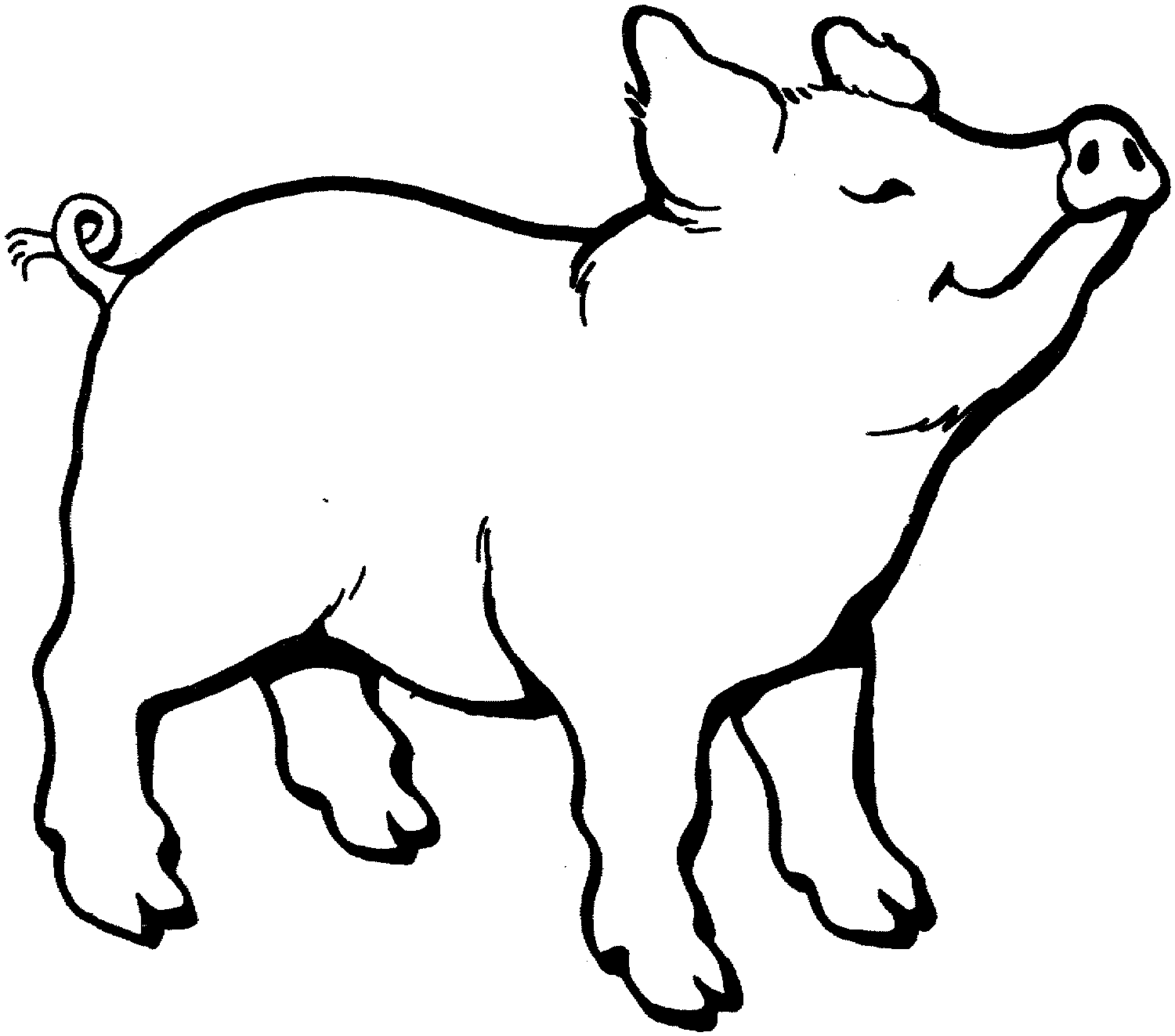 Pig Outline Coloring Pages pig 28 gif Printable Coloring4free