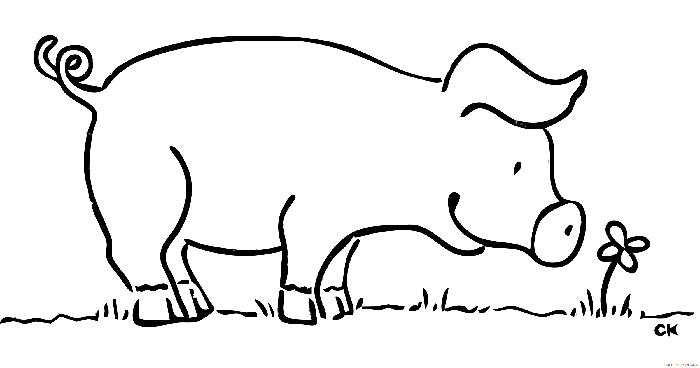 Pig Outline Coloring Pages pig 3 Printable Coloring4free