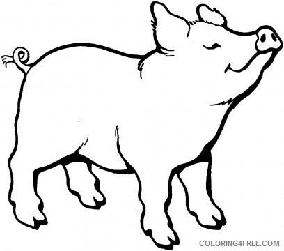 Pig Outline Coloring Pages pig outline best 9OcOPy Printable Coloring4free