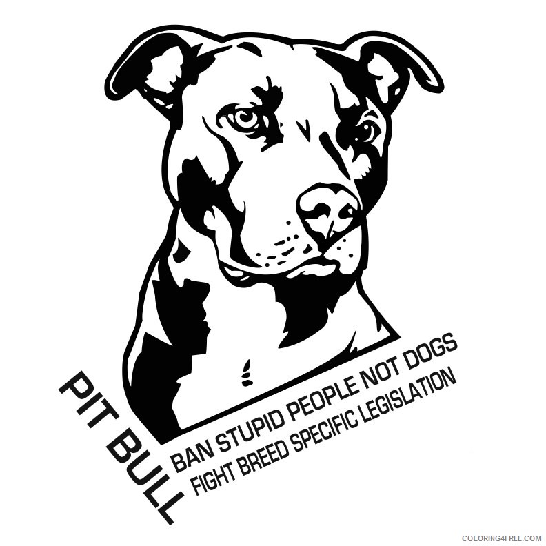 Pitbull Coloring Pages 10 pit bull clip art Printable Coloring4free