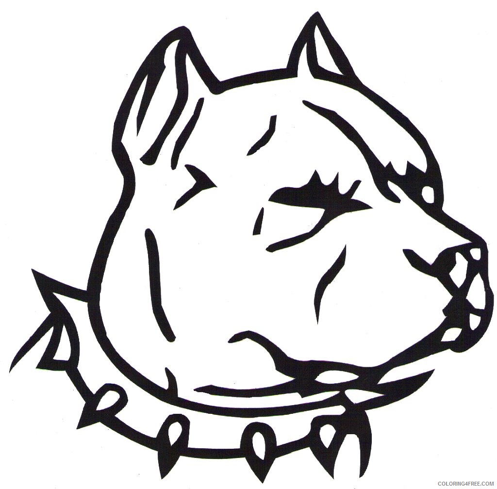 Pitbull Coloring Pages pit bull co Printable Coloring4free