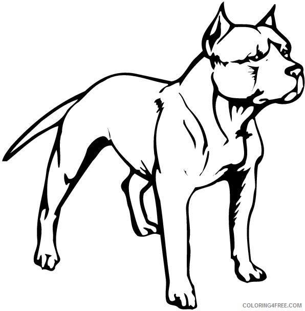 Pitbull Coloring Pages pit bull item Printable Coloring4free