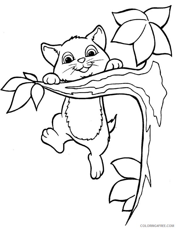 Playing Cat Coloring Pages kitty cat this active kitty Printable Coloring4free