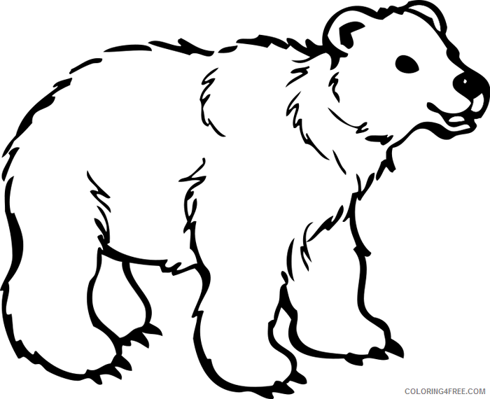 Polar Bear Coloring Pages polar bear 5 png Printable Coloring4free