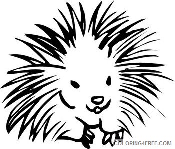 Porcupine Coloring Pages porcupine porcupine ba classroom clipart Printable Coloring4free