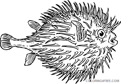 Puffer Fish Coloring Pages puffer fish 11 png Printable Coloring4free