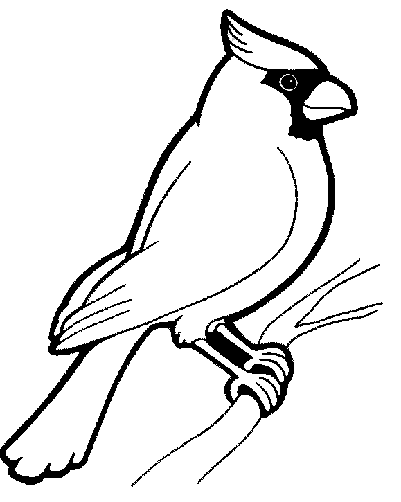 Quality Bird Coloring Pages bird pages Printable Coloring4free