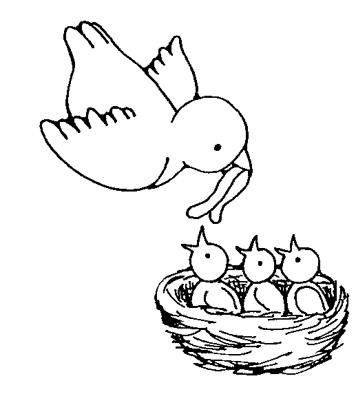 Quality Bird Coloring Pages cg bird mom and babies Printable Coloring4free