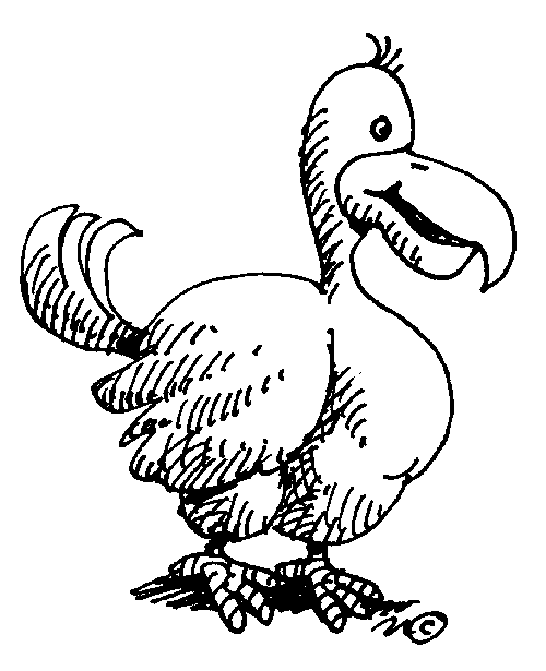 Quality Bird Coloring Pages dodo bird german illustration of Printable Coloring4free