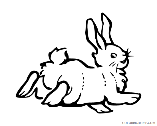 Rabbit Coloring Pages Rabbit2 png Printable Coloring4free