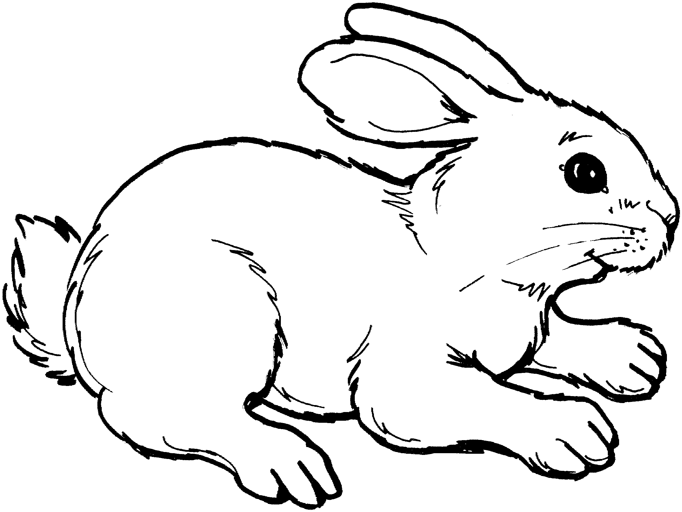 Rabbit High Quality Coloring Pages free rabbit 58747d0c67416 gif Printable Coloring4free
