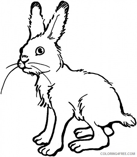 Rabbit Small Coloring Pages snowshoe rabbit free clipart Printable Coloring4free