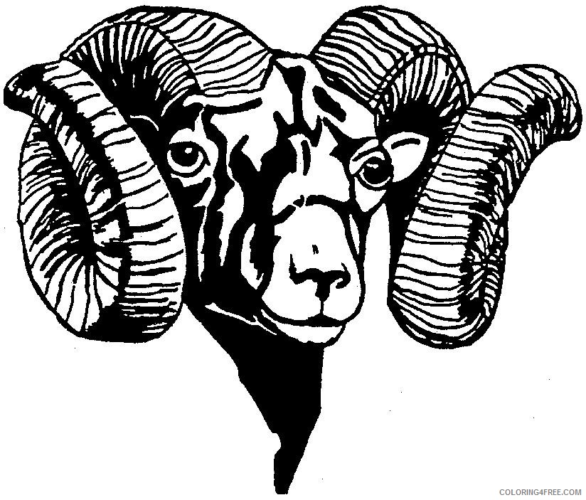 Ram Coloring Pages ram head pictures free cliparts Printable Coloring4free