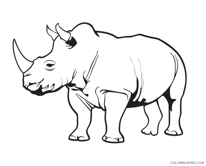 Rhino Coloring Pages outline of rhino best Printable Coloring4free