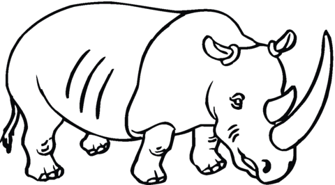 Rhinoceros Coloring Pages rhinoceros 25 YTSxOo gif Printable Coloring4free