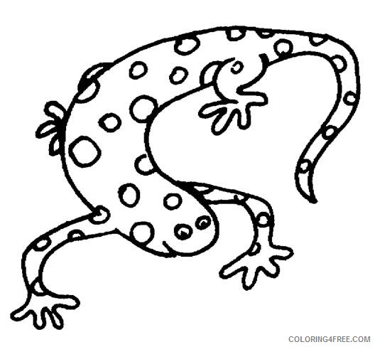 Salamander Coloring Pages salamander 16 jpg Printable Coloring4free