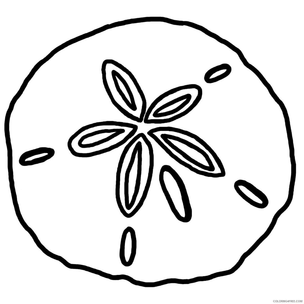 Sand Dollar Coloring Pages sand dollar black and Printable Coloring4free