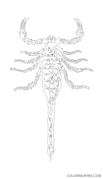 Scorpion Coloring Pages scorpion 2 png Printable Coloring4free