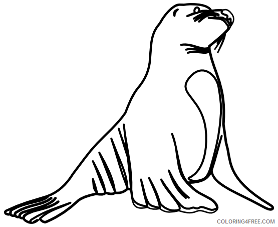Sea Lion Coloring Pages sea lion 18 png Printable Coloring4free
