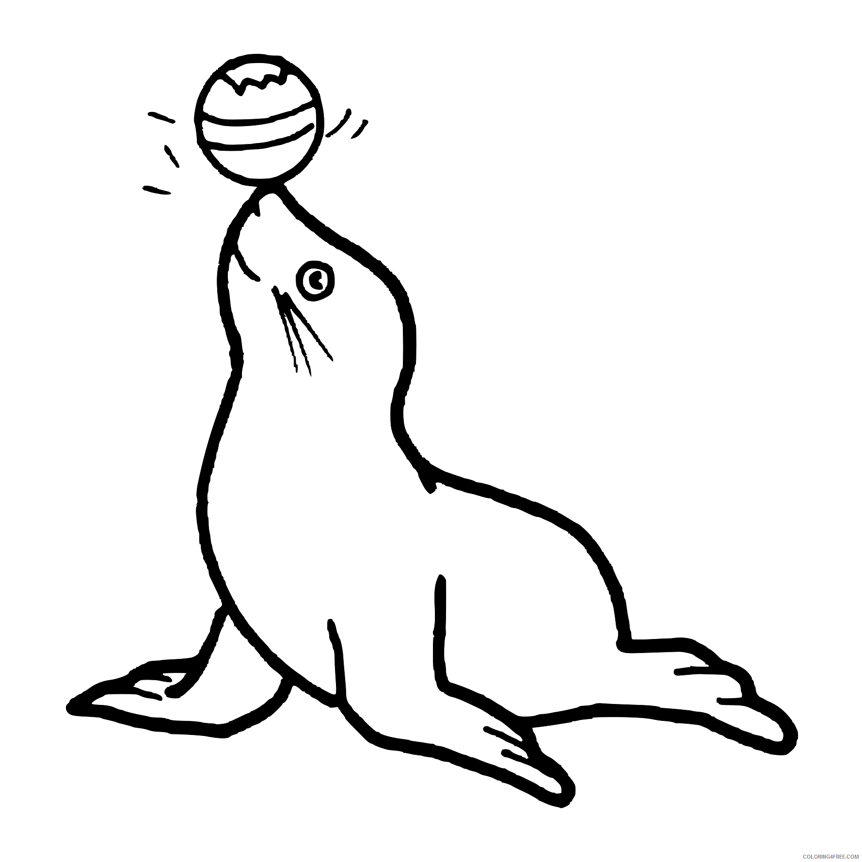 Seal Coloring Pages seal black and Printable Coloring4free