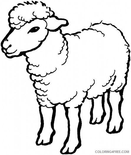 Sheep Outline Coloring Pages flock of sheep page Printable Coloring4free