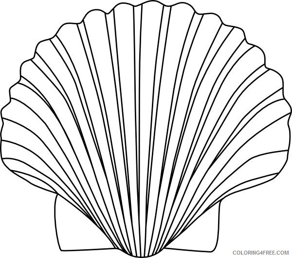 Shell Coloring Pages shell 16 jpg Printable Coloring4free